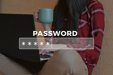 Password Box in Internet Browser