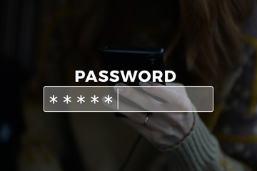 Password Box in Internet Browser