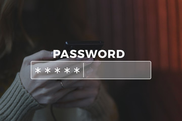 Password Box in Internet Browser