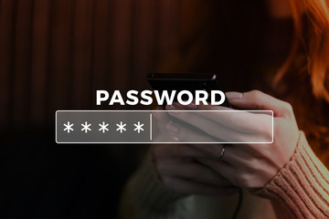 Password Box in Internet Browser