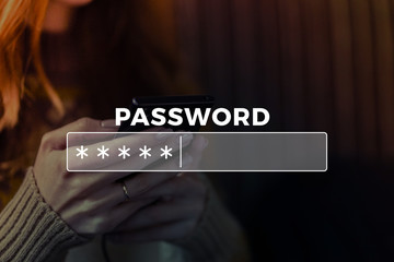 Password Box in Internet Browser