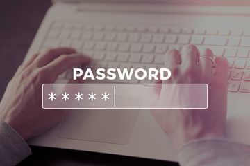 Password Box in Internet Browser