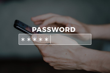 Password Box in Internet Browser