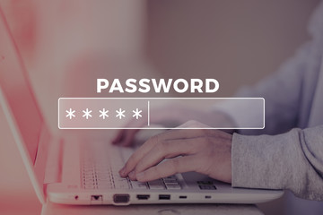 Password Box in Internet Browser