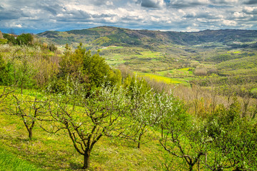 Fototapeta na wymiar View of the mountainous landscape in the interior of the peninsula of Istria, Croatia, Europe.