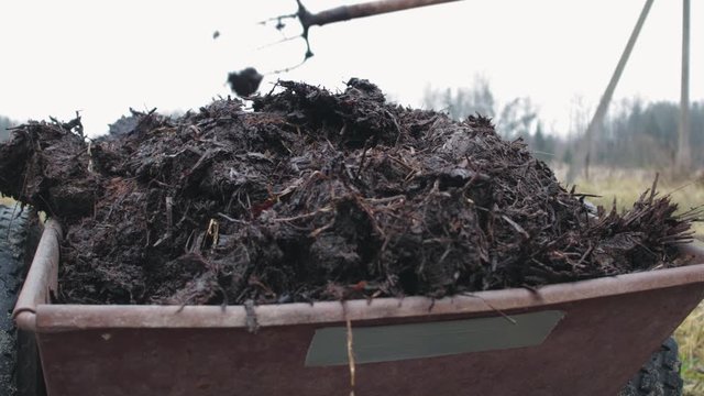 A farmer drives a hand cart with manure to fertilize the soil during spring work in his garden