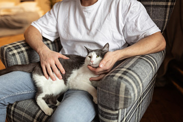 young man on the chair with his cat. Home pets. Lifestyle. Stay at home during coronavirus quarantine covid-19