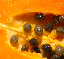 Seeds in orange papaya fruit.