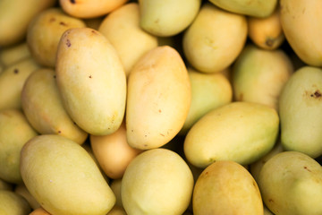 Mango fruits on the market