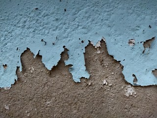 Wall paint, peeling off the wall