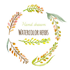 Fototapeta na wymiar Hand painted watercolor herbs set with berries