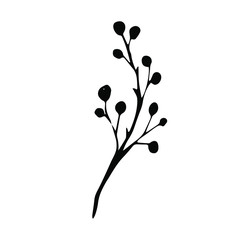 branch tree with berries, isolated