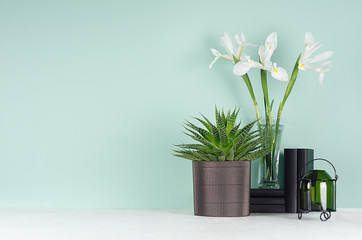 Spring decor for home library with green houseplant of aloe, fresh white iris bouquet, elegant glass green candlestick  in soft light green mint menthe interior on white wood shelf.