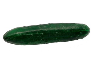 Big fresh cucumber on the white background
