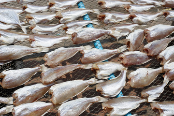 Top view of Dried sea fishes in Thailand