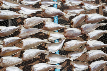 Top view of Dried sea fishes in Thailand