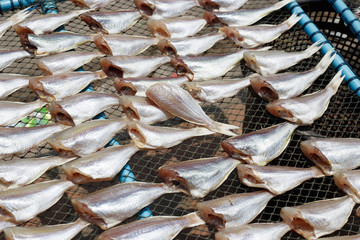 Top view of Dried sea fishes in Thailand