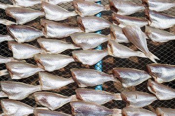 Top view of Dried sea fishes in Thailand