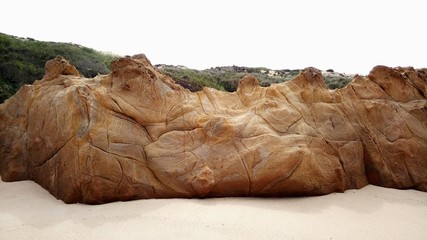 duna fosil