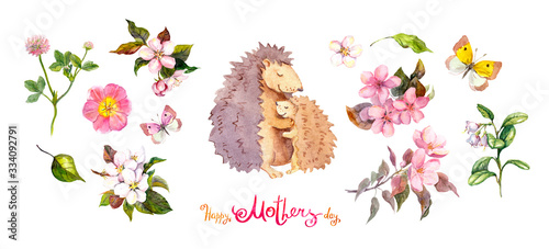 Watercolor Set For Mother S Day Mom Hedgehog Animal Hugging Her Child Flowers Cherry Blossom Leaves Butterflies Note Happy Mothers Day Collection For Card Inviatation Wall Mural Zzorik