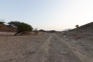 Wadi Shawka Dam Deser Road