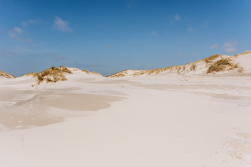 Fototapeta na wymiar Wide sand beach landscape, sunny day, blue sky, Amrum, Germany