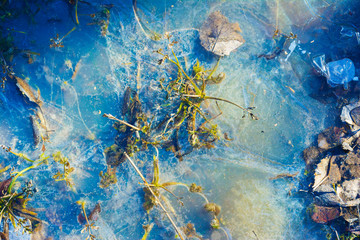 Blue ice with last year's plants and leaves frozen into it. Bright background on a spring theme.