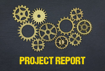 Project Report 