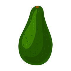 Whole avocado vector icon.Cartoon vector icon isolated on white background whole avocado.