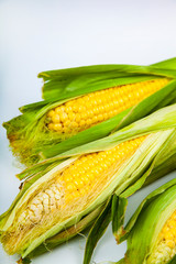 Corn on a white background.