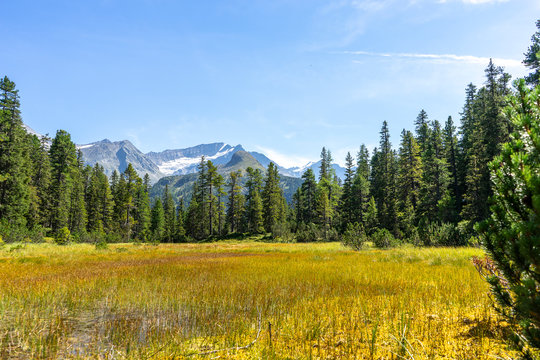 Wiegenwald Uttendorf 