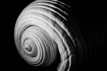 spiral