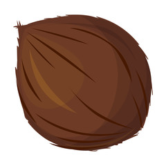 Coconut vector icon.Cartoon vector icon isolated on white background coconut.