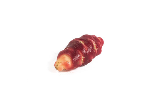 peruan oca