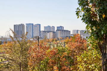 Distant view of the city and houses through the trees in the Park with yellow, green, red leaves. Beautiful autumn landscape