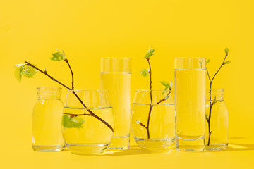 Spring fresh green birch branches through liquid water on yellow.