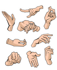Set of hands showing different gestures isolated on a white background. Vector flat illustration of male hands . Isolated flat vector illustration