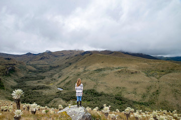 Fototapeta na wymiar Landscape Ecuador