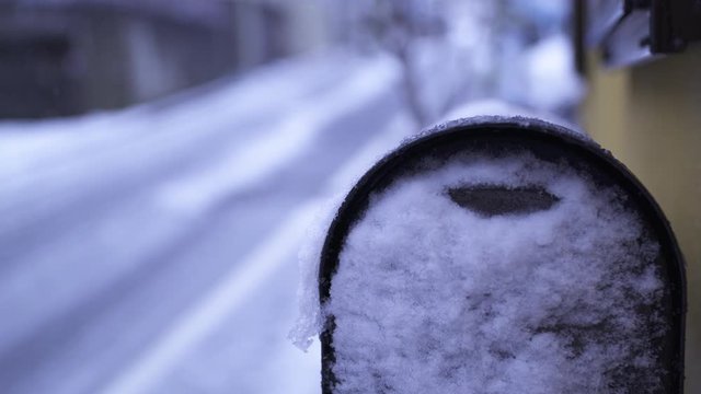 snow on post and tree / 2 patterns of focus / Tokyo, Japan