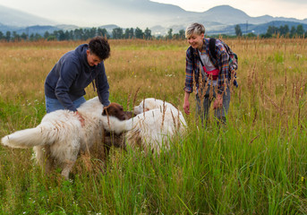Naklejka premium women play with dogs in a meadow