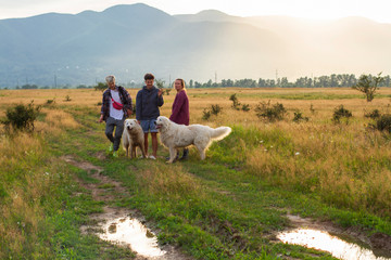 in mountains women walk with dogs at sunset