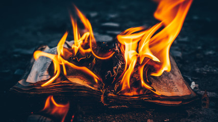 FireBook