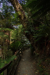 Lake Wilkie Walk in Otago on South Island of New Zealand