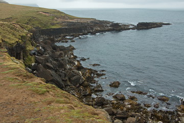 Coast on Slope point,Southern Most Point of the South Island of New Zealand