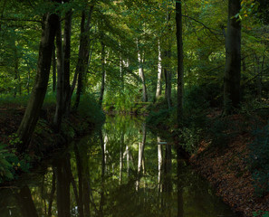 Fototapeta na wymiar Dickeninge estate De Wijk Netherlands Reestdal. Forest and canal