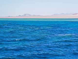 Obraz premium Blue waves on sea water surface