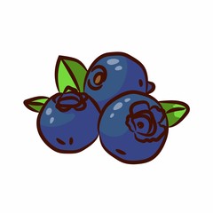 Blueberries with green leaves. Three deep blue berries isolated on a white background. Summer mood. Natural dessert for everyone.