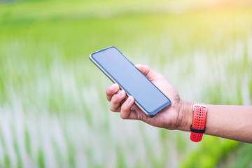 close up of asian teen runner looking at smartphone checking running distance and heart rate after exercising, wearing shirt, short and running shoes, with tree nature and cloudy sky in the background