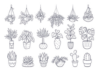 Collection of houseplants isolated on white background. Set of decorative indoor and office plants in pot. Vector doodle plants illustration. Set 1 of 2. © insemar