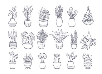 Collection of houseplants isolated on white background. Set of decorative indoor and office plants in pot.; Vector doodle plants illustration. Set 2 of 2.